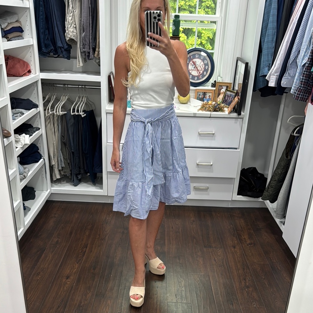J. Crew Factory Striped Blue Skirt 2